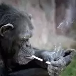 Foto del perfil de Elpepi