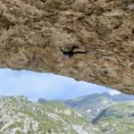 Foto del perfil de Escalador inversor